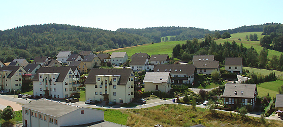 Blick auf den Wildbacher Hang